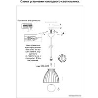 Подвесная люстра Novotech Zelle 358589