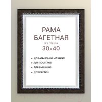 Фоторамка Декарт 30x40 8Л2573 (черный с серебром)