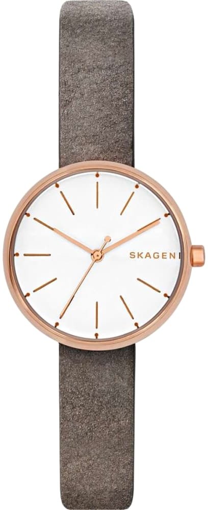 

Наручные часы Skagen SKW2644