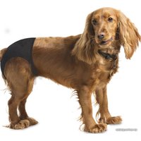 Трусы гигиенические  Duvo Plus Dog Pants M