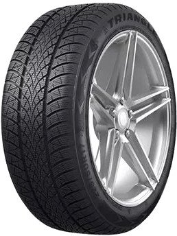 Зимние шины Triangle TW401 245/45R19 102V