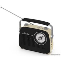 Радиоприемник Ritmix RPR-075