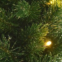 Ель Erbis PE Zielona LED 40