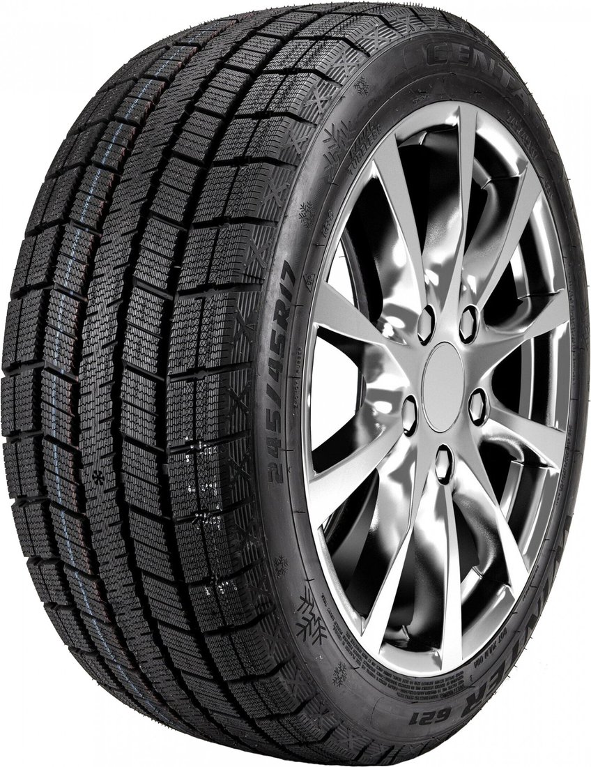 

Зимние шины Centara Winter RX621 195/55R16 87T
