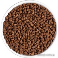 Сухой корм для кошек Ambrosia Grain Free (для стерилизованных, свежие утка и индейка) 5 кг