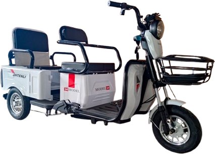 

Трицикл Shtenli Model 34 48V