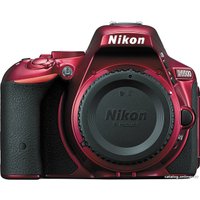 Зеркальный фотоаппарат Nikon D5500 Double Kit 18-55mm VR II + 55-200mm VR II