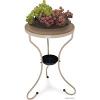 Журнальный столик Sheffilton SHT-CT10-1 (капучино)