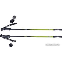 Палки для скандинавской ходьбы Tech Team Yeti (зеленый)