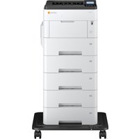 Принтер Triumph-Adler P-6033DN в Барановичах