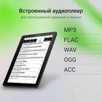 Электронная книга Digma F4