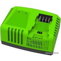 Зарядное устройство Greenworks G40UC4 (40В) в Борисове