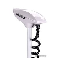 Лодочный мотор Haibo iPenguin P65 12V Pro