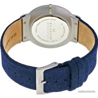 Наручные часы Skagen SKW6098