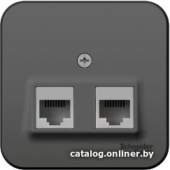 Розетка компьютерная Schneider Electric Blanca BLNIA045456