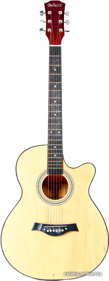 Акустическая гитара Belucci BC4010 N