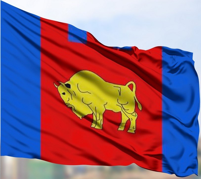 

Флаг МирФлагов Брестской области уличный под баннерное плечо 50х100 см