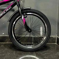 Детский велосипед Greenland Angel S 20 2026 (черный)