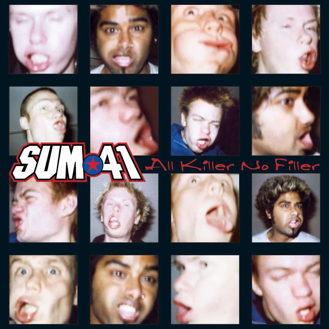 

Виниловая пластинка Sum 41 - All Killer No Filler