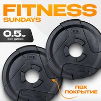Набор дисков Sundays Fitness IR91041 2x0.5 кг