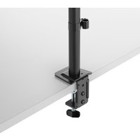 Кронштейн для монитора ErgoSmart Twin II Hold (с органайзером)