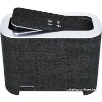 Беспроводная колонка Mac Audio BT Elite 5000