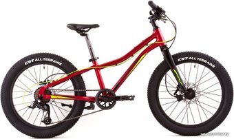 Детский велосипед Merida Matts J20+ Pro 2022 (красный)