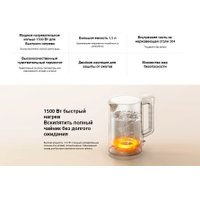 Электрический чайник Xiaomi Electric Kettle 2 Lite MJDSH06-A (евровилка)