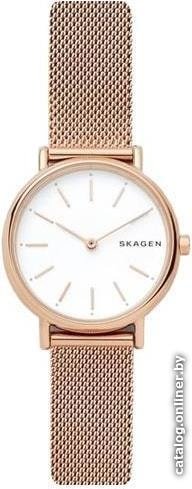 Наручные часы Skagen SKW2694