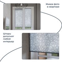 Мини рулонные шторы Franc Gardiner Print Черника 60х160 9403217476 (голубой)