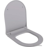 Сиденье для унитаза Ambassador Abner 102T20301S (серый матовый)