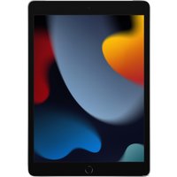 Планшет Apple iPad 10.2" 2021 256GB 5G MK4H3 (серебристый)