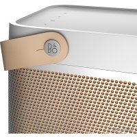 Беспроводная колонка Bang & Olufsen Beolit 20 (серый)