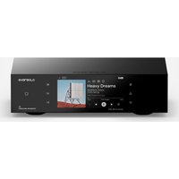 Сетевой транспорт Eversolo T8 в Солигорске