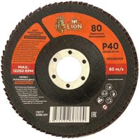 Шлифовальный круг M-Lion MFD12540P