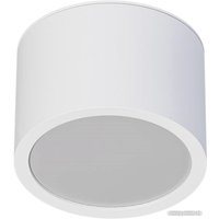 Точечный светильник Arte Lamp Intercrus A5543PL-1WH