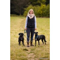 Поводок Halti Double Ended L (голубой)