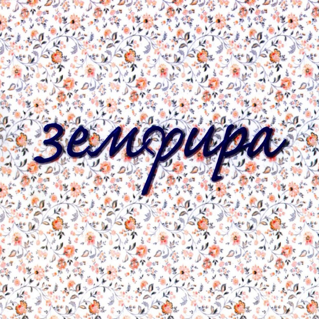 

Виниловая пластинка Земфира - Земфира