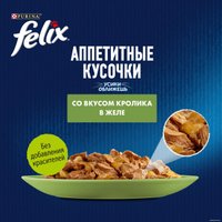 Пресервы Felix Аппетитные кусочки с кроликом в желе 75 г