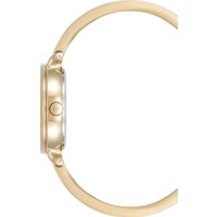 Наручные часы Anne Klein 5116ABST