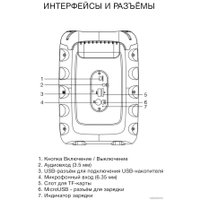 Беспроводная колонка Hyundai H-PS1006