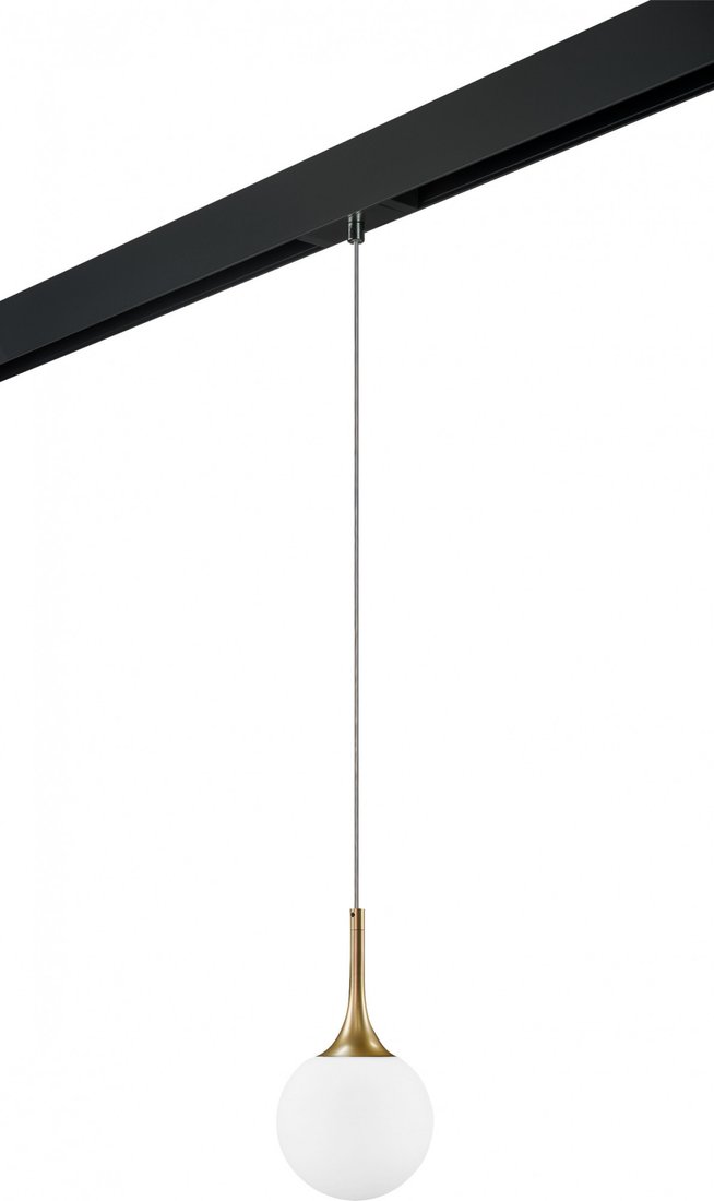 

Трековый светильник Lightstar Globo PRO813012