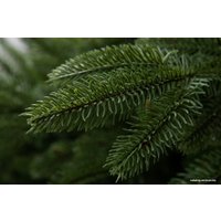 Ель GreenTerra Калифорнийская 1.8 м