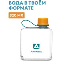 Бутылка для воды Арктика 727-320-ORGN (морошка)