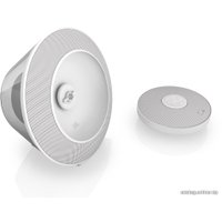 Беспроводная колонка JBL Voyager