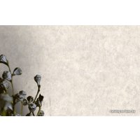 Флизелиновые обои Euro Decor Evolution 7112-11