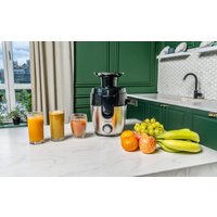 Соковыжималка Garlyn J-100