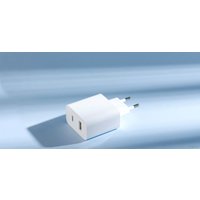 Сетевое зарядное Xiaomi Mi 33W Wall Charger AD332EU (международная версия)