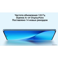 Телефон Xiaomi 12X 8GB/256GB международная версия (синий)
