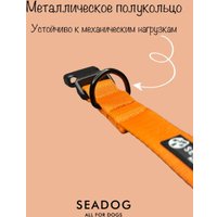 Ошейник Seadog Fresh Orange XS